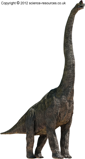 Brachiosaurus image