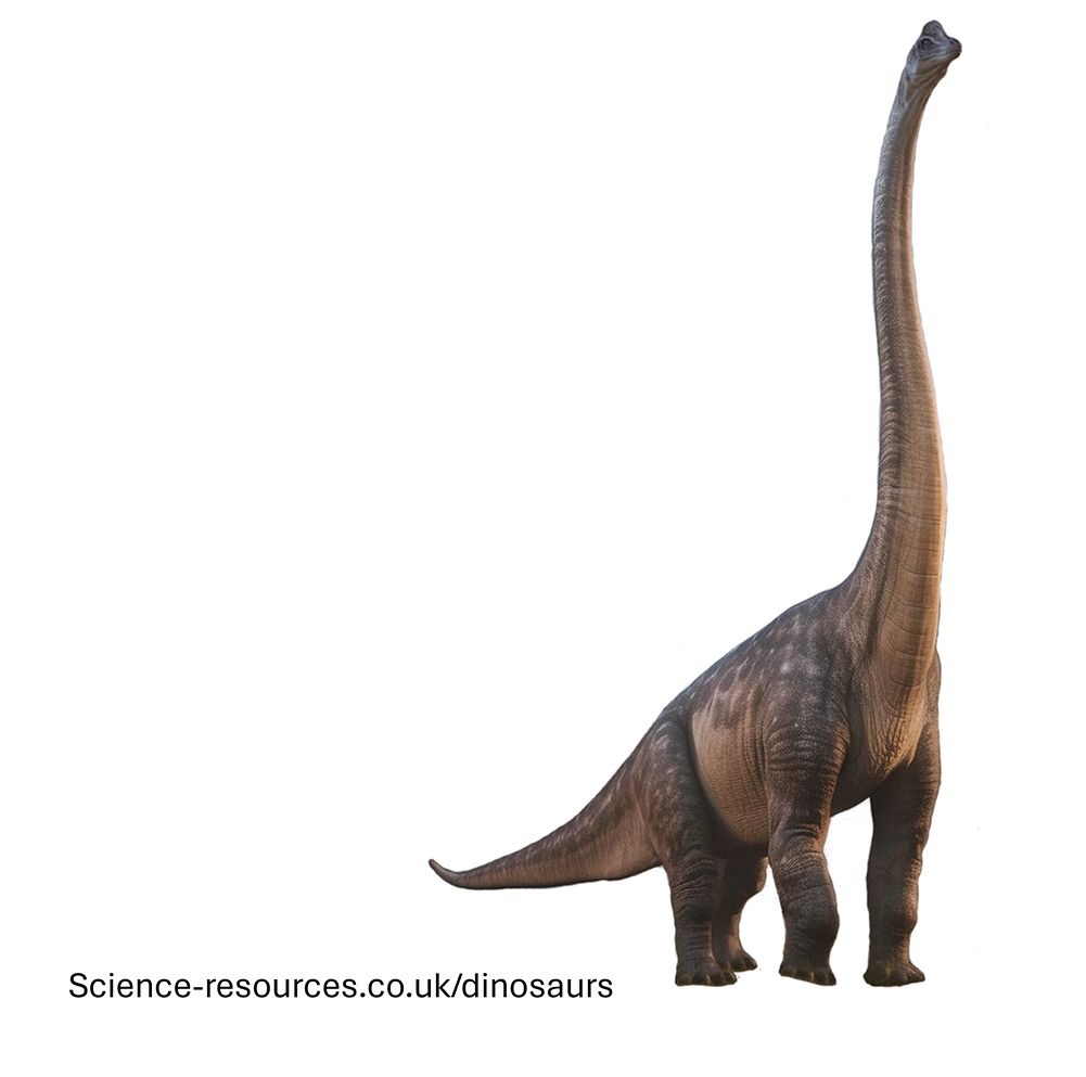 An realistic depiction of a feathered Brachiosaurus dinosaur.