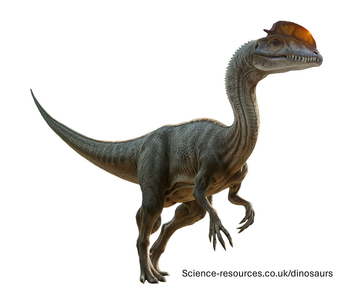 An realistic depiction of a feathered Dilophosaurus dinosaur.