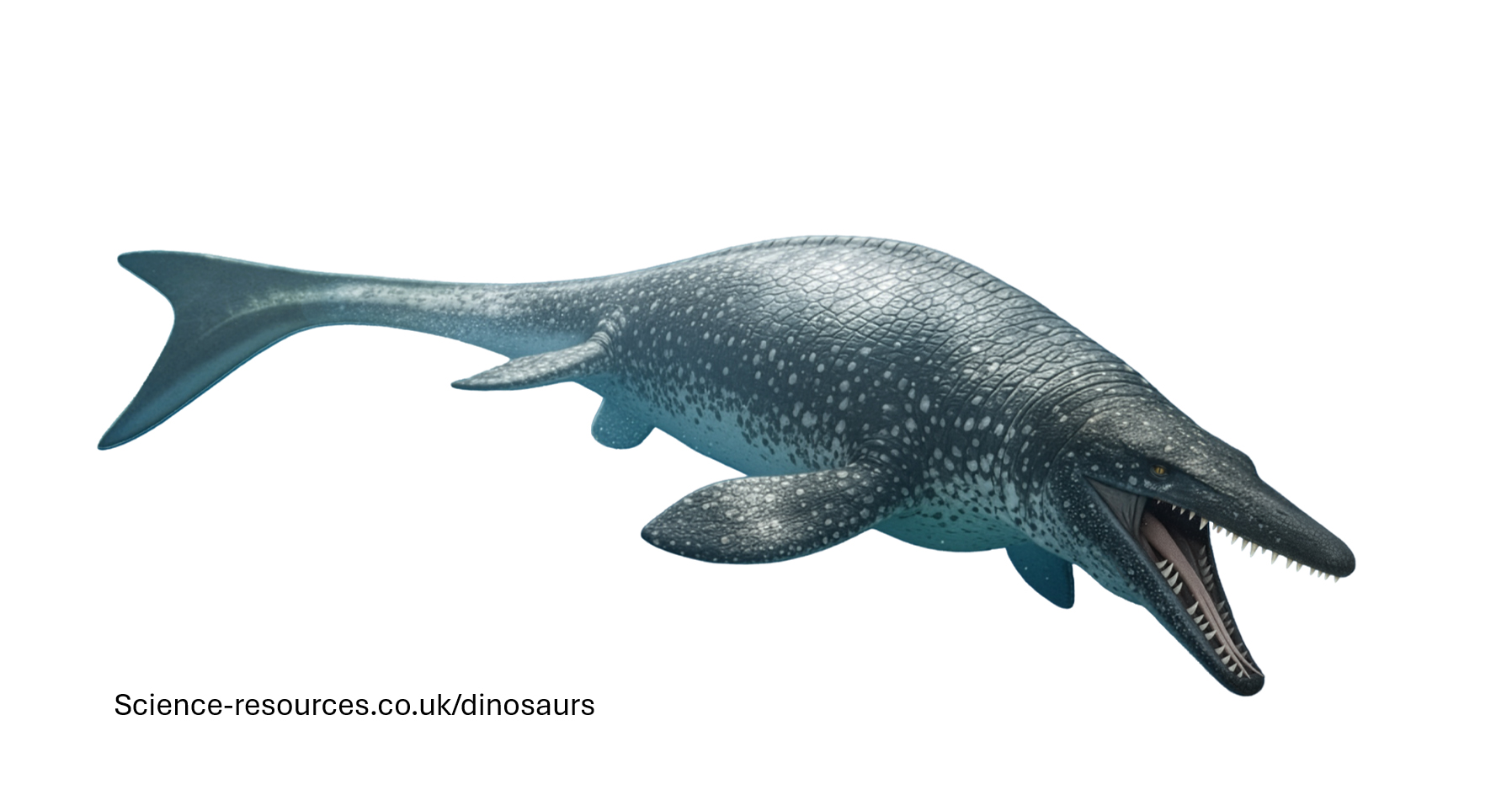 Mosasaurus A realistic rendering of an Mosasaurus.